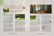 Wildwood Estates Brochure Inside